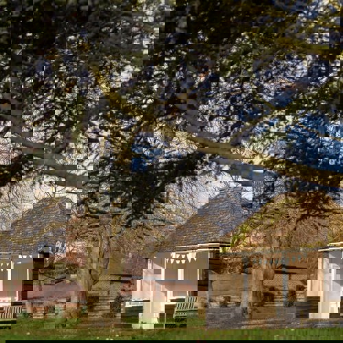 <p>The Grounds</p>