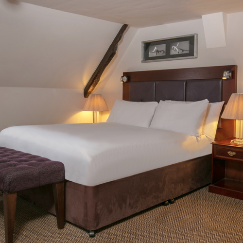 <p>FUCIA ROOM</p>