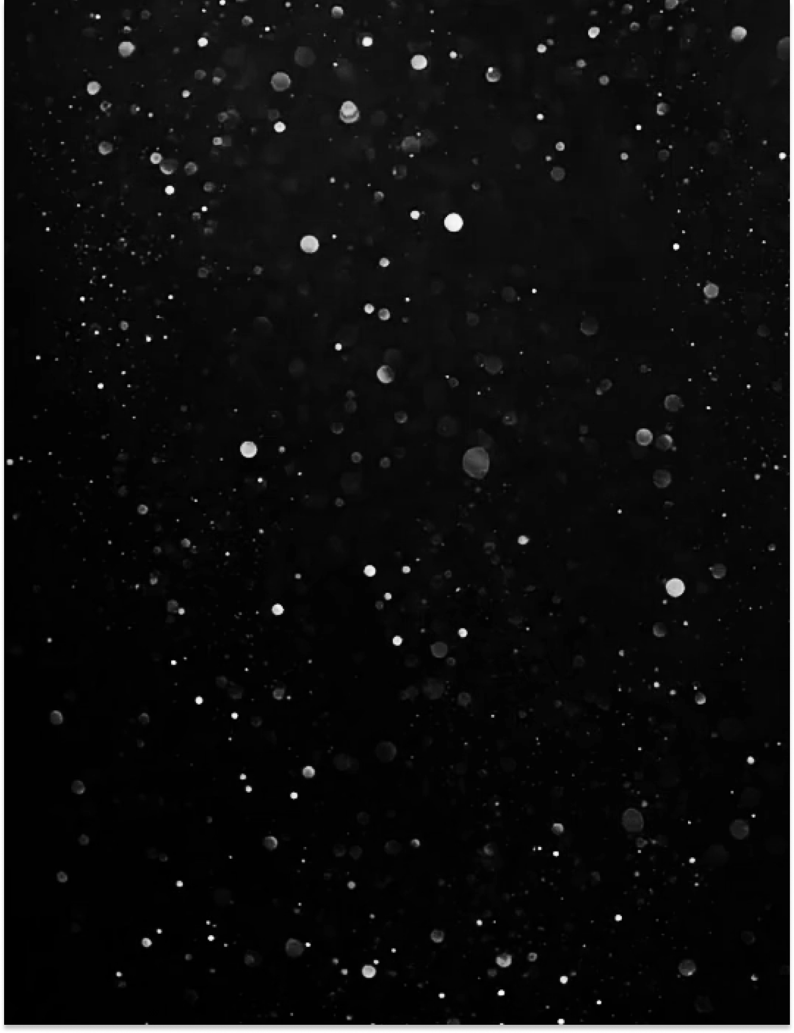 Mobile Banner Qhotels