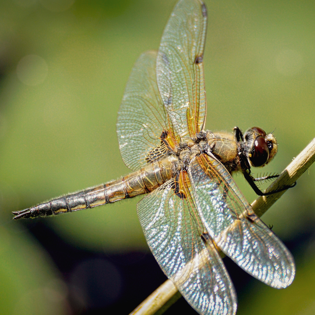 Winnall Moors 5050