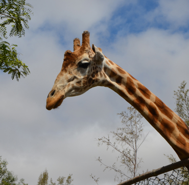 Keyinformation Desktop 01