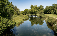 Carousel Desktop Walks