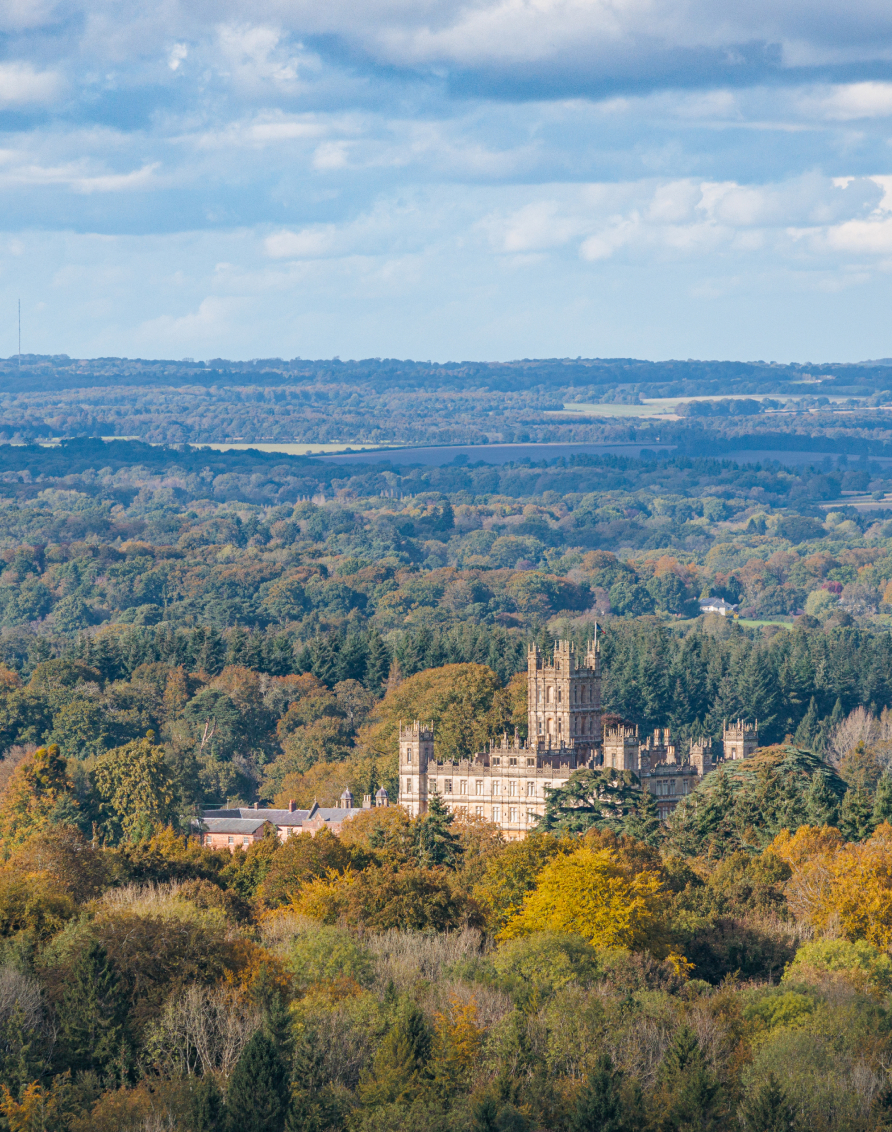 Crosssell Desktop Primary CTA TTD