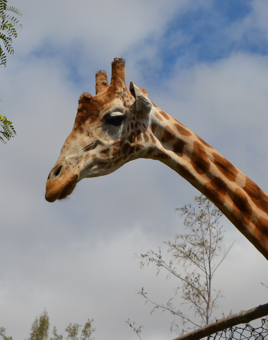 Crosssell Desktop Primary CTA 2 (Ttd)