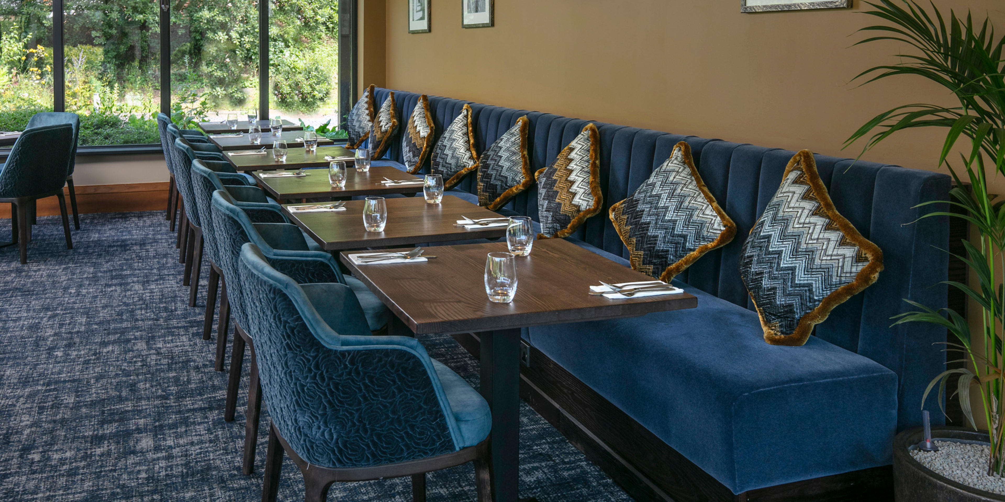 Tripadvisortestimonial Desktop