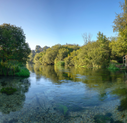 <strong><span class="NormalTextRun SCXW146446620 BCX8">RIVER ITCHEN</span> </strong>