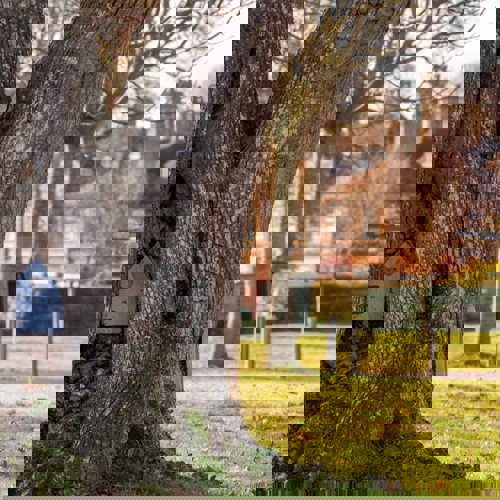 <p>The Grounds</p>